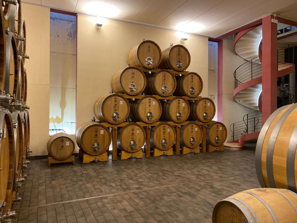 Agriturismo Corte Moranda Verona Ngoại thất bức ảnh