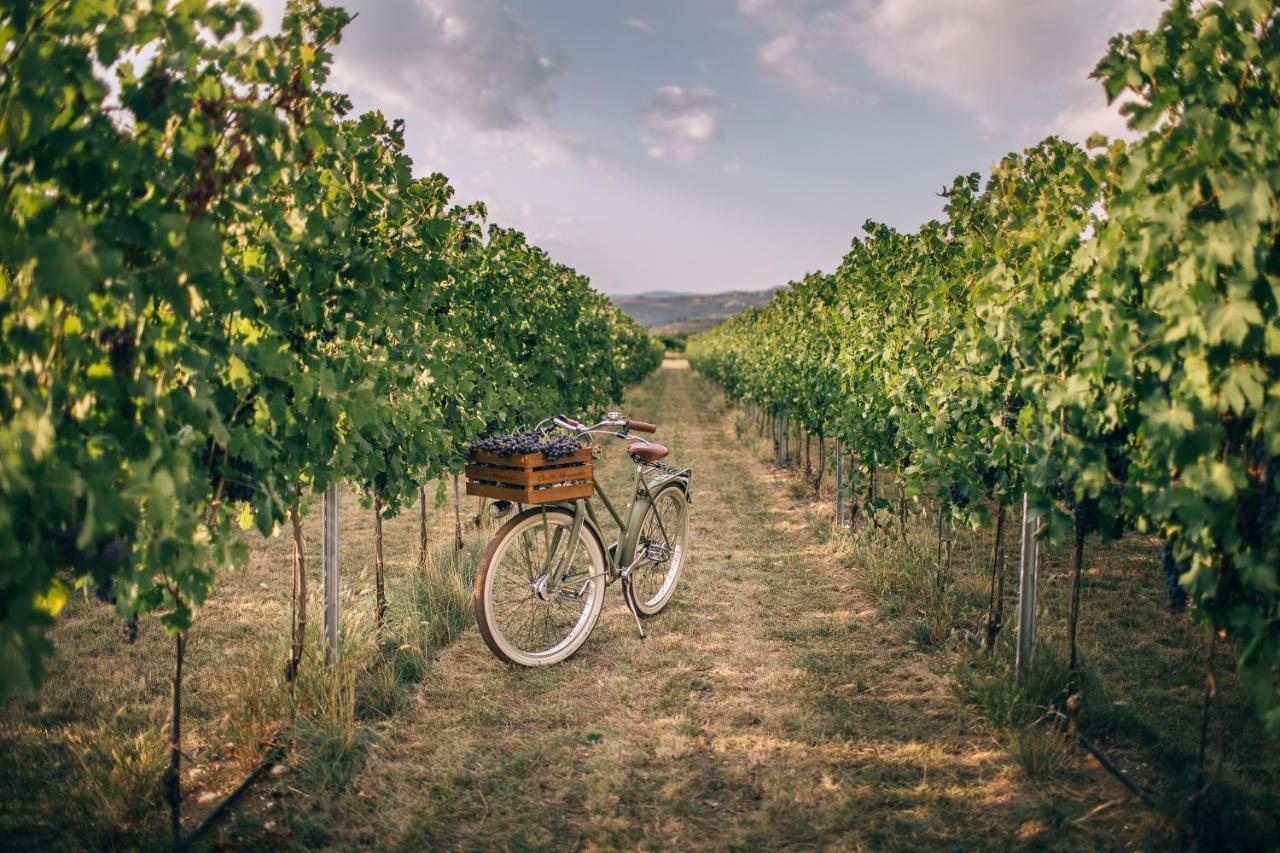 Agriturismo Corte Moranda Verona Ngoại thất bức ảnh