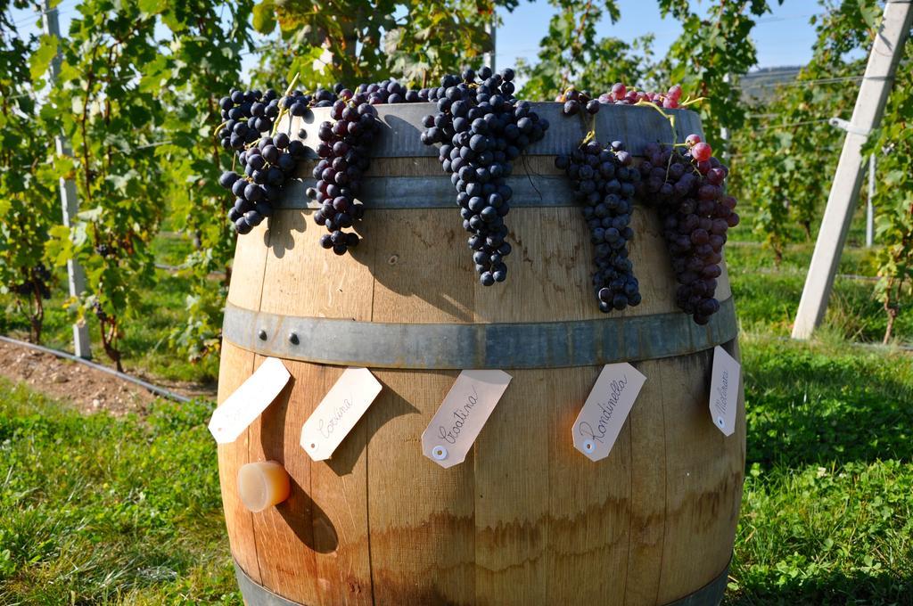 Agriturismo Corte Moranda Verona Ngoại thất bức ảnh