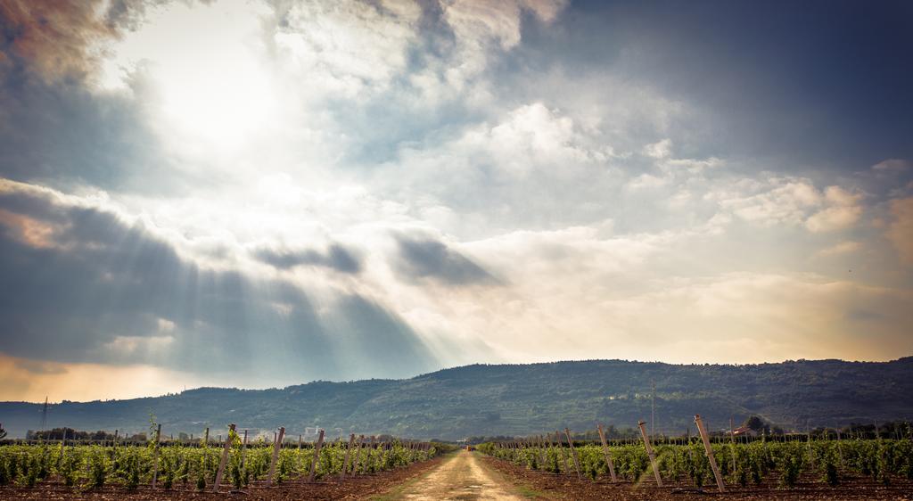 Agriturismo Corte Moranda Verona Ngoại thất bức ảnh